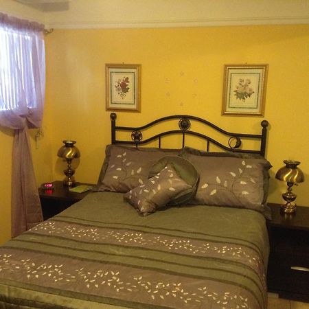 Bed and Breakfast Douces Évasions à Saint-Anselme Extérieur photo